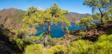 Antalya 'daki Lycian Yolu' ndan görülen çarpıcı Türk Akdeniz kıyı şeridinde her yaz turistleri cezbeden mavi bir deniz, yemyeşil ormanlar ve engebeli kayalık kıyılar yer alıyor..