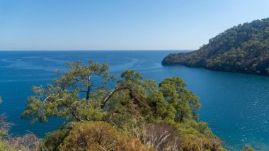 Antalya 'daki Lycian Yolu' ndan görülen çarpıcı Türk Akdeniz kıyı şeridinde her yaz turistleri cezbeden mavi bir deniz, yemyeşil ormanlar ve engebeli kayalık kıyılar yer alıyor..