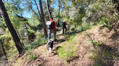 Dalyan, Türkiye - 7 Aralık 2024: Yeşillik ormanlarla çevrili Akdeniz kıyıları boyunca yürüyüş yapan yürüyüşçüler