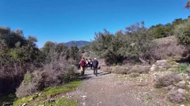 Dalyan, Türkiye - 7 Aralık 2024: Yeşillik ormanlarla çevrili Akdeniz kıyıları boyunca yürüyüş yapan yürüyüşçüler