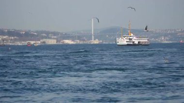 İstanbul, Türkiye - 14 Mart 2019: Yolcu feribotu İstanbul 'un kıyı kesimindeki günlük yaşamının canlı ritmini yakalayan martılar yavaş çekimde İstanbul' un gerisinden uçarken Boğaz 'da süzülüyor.
