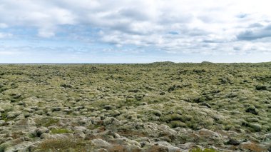 İzlanda, Skaftareldahraun 'da yosun kaplı lav oluşumları. Eşsiz bir volkanik arazi ve canlı yeşil yosun karışımı.