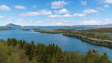 Kuzey İzlanda 'daki Myvatn Gölü' nün sakin yaz manzarası sakin sular, volkanik arazi ve parlak mavi gökyüzü altında yemyeşil..