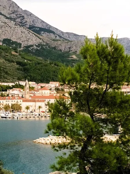 Yeşil doğadaki Makarska manastırı manzarası