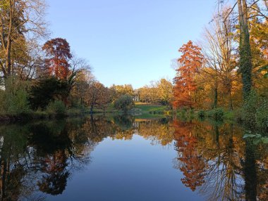 Güzel renkli sonbahar ormanı ve göl