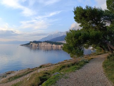 Adriyatik kıyısında güzel ahşap patika 