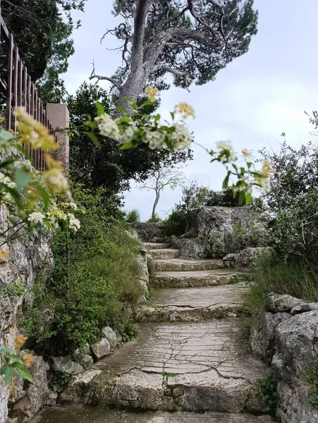 İlkbaharda doğada eski taş merdivenler