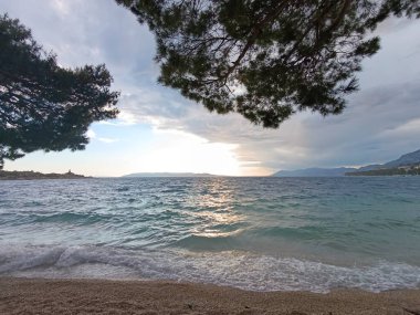 Çam ağaçlarıyla kumsalda güzel bir alacakaranlık