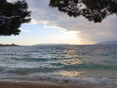 Çam ağaçlarıyla kumsalda güzel bir alacakaranlık