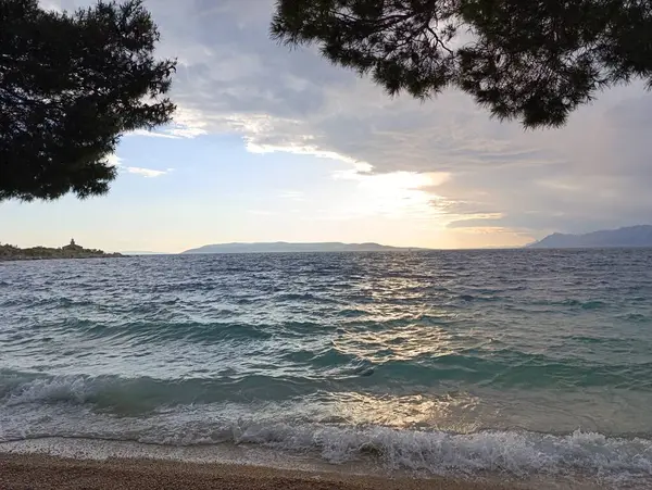 Çam ağaçlarıyla kumsalda güzel bir alacakaranlık