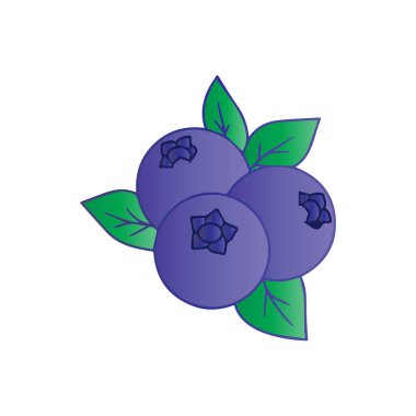 beyaz arkaplanda yaban mersini yaprakları, vektör illüstrasyon tasarımı