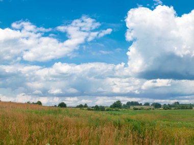Panoramik çiftlik vahşi doğası.