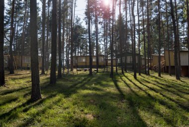 Çam ormanında küçük bir dinlenme merkezi. Doğu Avrupa