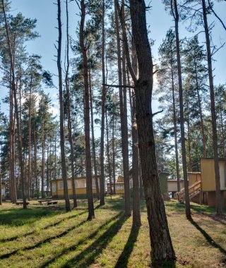 Çam ormanında küçük bir dinlenme merkezi. Doğu Avrupa