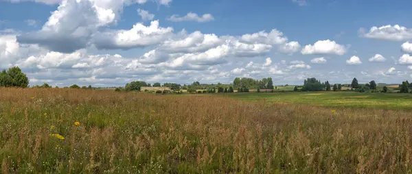 Panoramik çiftlik vahşi doğası. Birkaç ahşap ev ötede.