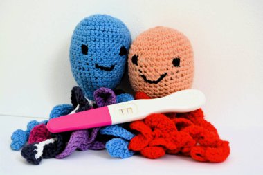 Amigurumi çifti, mavi ve pembe ahtapot, hamilelik ilanı.
