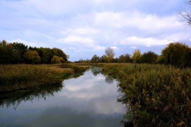 Güzel sonbahar manzarası Köprüden akan bir nehirle