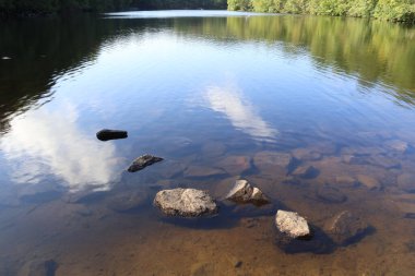 Parkta küçük bir göl. Büyük taşları var.