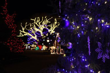 Renkli Noel ağacı, gece