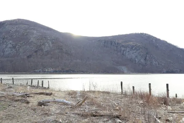 Dağları ve ağaçları olan güzel bir manzara.