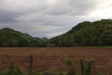 tarım alanlarının görünümü