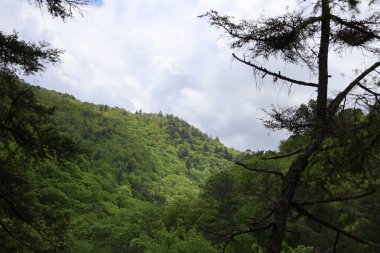 Arkasında bir dağ olan güzel bir manzara..