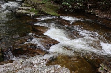 Ormanda güzel bir şelale