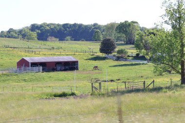 yemyeşil çayırlarda bir köy çiftliği