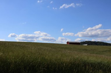 Ekinleri ve kırmızı ahırı olan güzel bir manzara ve bulutlu mavi bir gökyüzü.