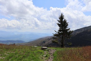 Tennessee 'deki Appalachian dağlarının güzel manzarası.