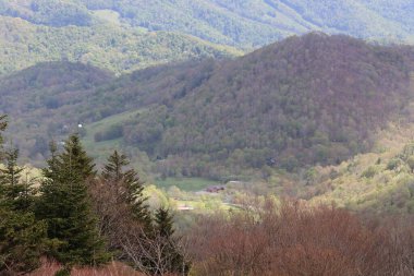 Dağları ve ormanı olan güzel bir manzara.