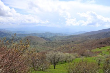 Doğanın güzel manzarası