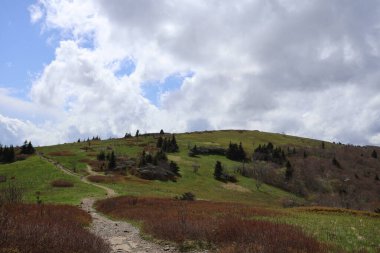 Dağ sırtından geçen patika Blue Ridge Dağları 'ndaki bir dağın sırtı..