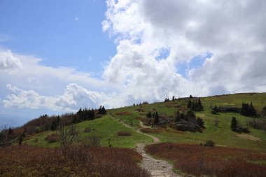 Ormanda dağları olan güzel bir manzara.