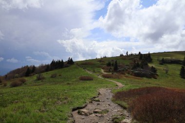 Tennessee 'deki Appalachian patikasında bir dağ manzarası.