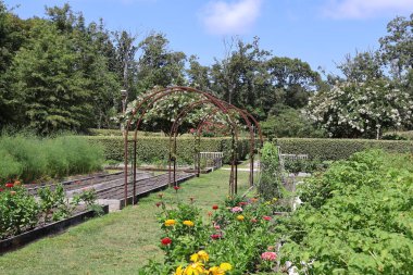 Doğanın güzel manzarası