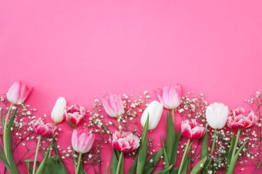 Pembe laleler ve pembe arka planda beyaz çingene çiçekleri. Anneler Günü, doğum günü kutlaması konsepti. Uzayı metin için kopyala. Model