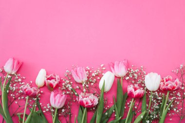 Pembe laleler ve pembe arka planda beyaz çingene çiçekleri. Anneler Günü, doğum günü kutlaması konsepti. Uzayı metin için kopyala. Model
