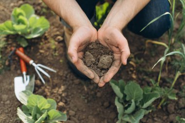 Çiftçi dünyayı bahçe aletlerinin arka planında tutuyor