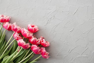 Pembe laleler zarif gri taştan bir arka planda, seçici bir odak noktası. Anneler Günü, doğum günü kutlaması konsepti. Metin için alanı kopyala