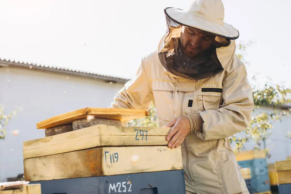 一个快乐的养蜂人在蜂房附近的蜂窝里工作的画像 收集蜂蜜 养蜂人在Apiary 养蜂业概念 — 图库照片