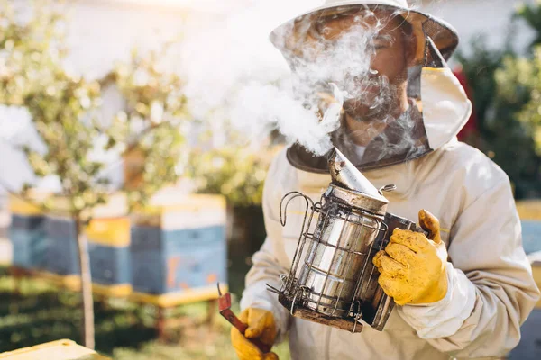 Portrait Happy Male Beekeeper Working Apiary Beehives Bees Collect Honey — Stock Photo, Image