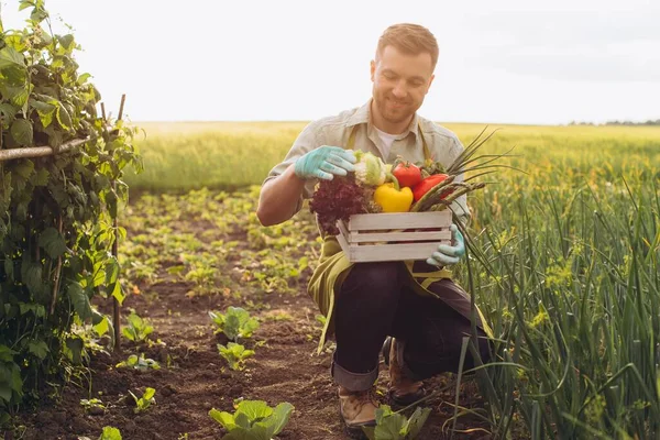 Boldog Farmer Férfi Gazdaság Kosár Friss Zöldségek Kertben Kertészeti Koncepció — Stock Fotó