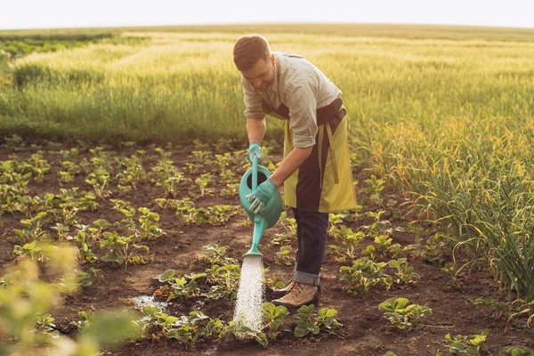 Щасливий Фермер Поливає Клумби Працює Саду — стокове фото