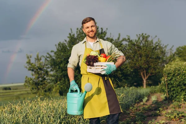 Happy Gardener Man Holding Basket Fresh Vegetables Rainbow Garden Background — Stock Photo, Image