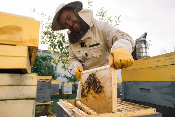 Beekeeper Holds Honey Cell Bees His Hands Apiculture Apiary Working — Stock Photo, Image