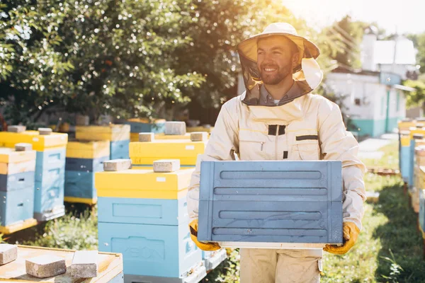 Ευτυχισμένος Αρσενικός Μελισσοκόμος Προστατευτική Στολή Κρατάει Μια Κυψέλη Στο Μελισσοκομείο — Φωτογραφία Αρχείου