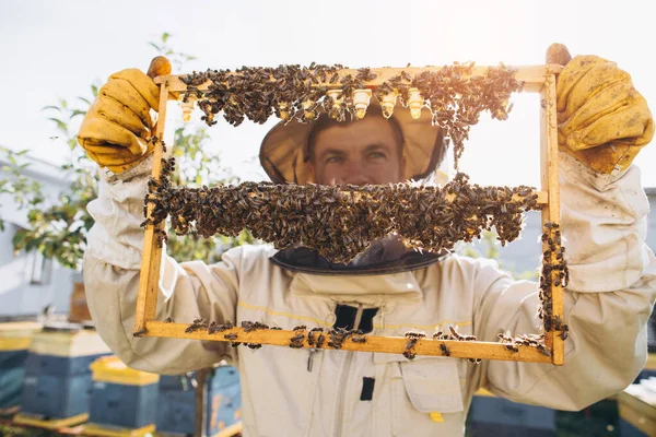 ビーズとオーガニックハニカムにロイヤルゼリー 男養蜂家女王細胞と木製のフレームを保持し 蜂のロイヤルミルクとハニカム ハニー ブラッドのケア ミツバチのコロニー蜂の巣養蜂 — ストック写真