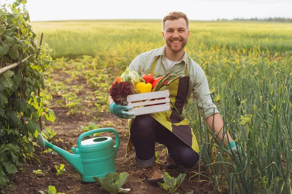 快乐的农夫 拿着菜篮 在花园里干活 — 图库照片