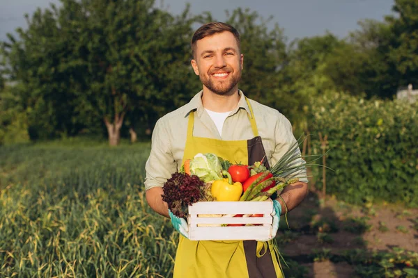 Šťastný Farmář Drží Koš Čerstvou Zeleninou Duhovém Zahradním Pozadí Zahradnické — Stock fotografie
